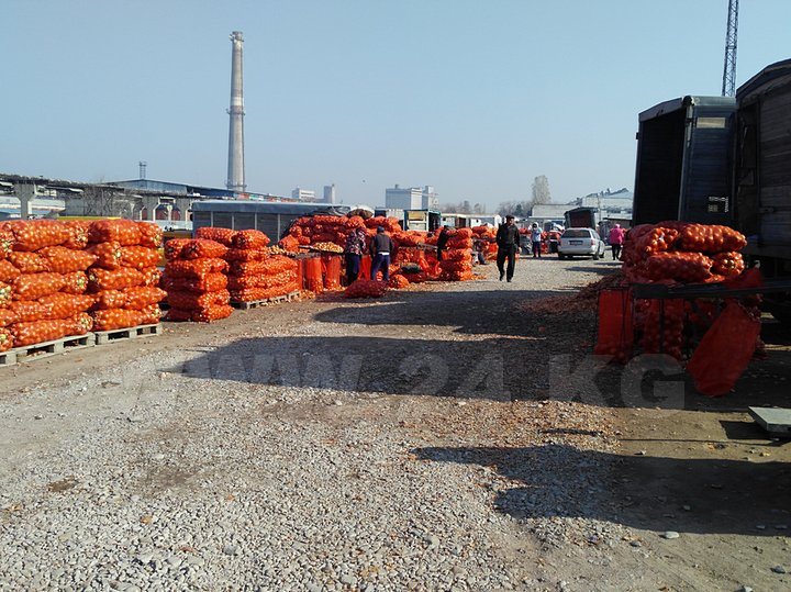  ����� �������� ����� ������ ���������� 