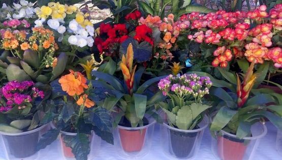  ����� �������� ������� ������ �������� ������� ������ 