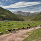 Фото Ричарда Ватсона. В горах Кыргызстана