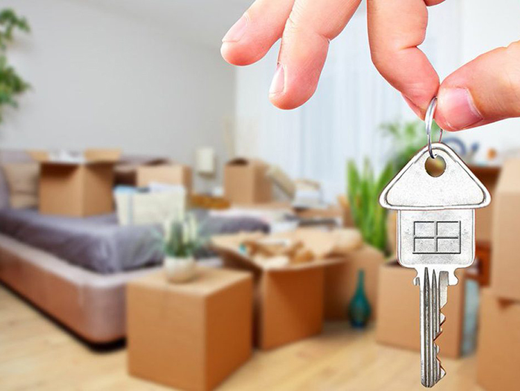 Как законно сдать квартиру в аренду - | 24.KG