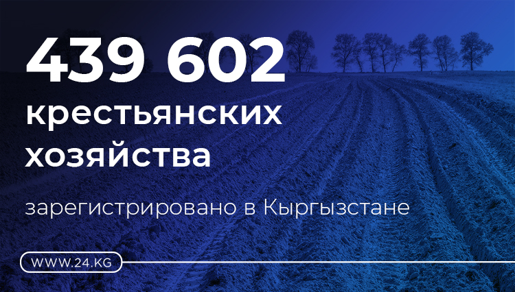 Цифра дня. 439 тысяч 602 крестьянских хозяйства зарегистрировано в Кыргызстане
