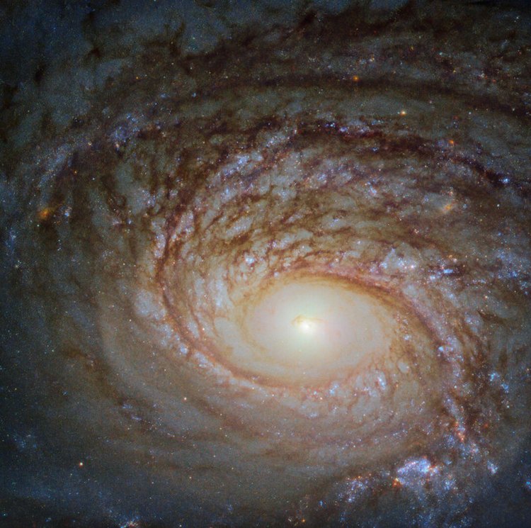 ESA/Hubble & NASA, A. Seth et al.; CC BY 4.0