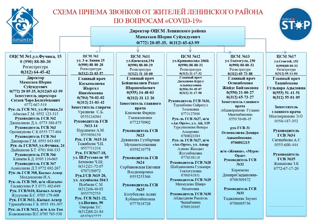 Куда звонить при симптомах COVID-19. Сохраните контакты руководителей ЦСМ и  ГСВ - | 24.KG