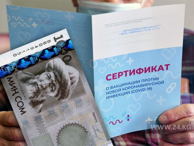Сертификат о вакцинации продают в Telegram за 1 тысячу сомов. Учителя покупают