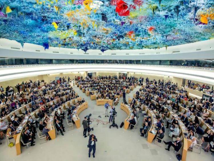 Индия и ОАЭ избраны в Совет по правам человека ООН на новый срок