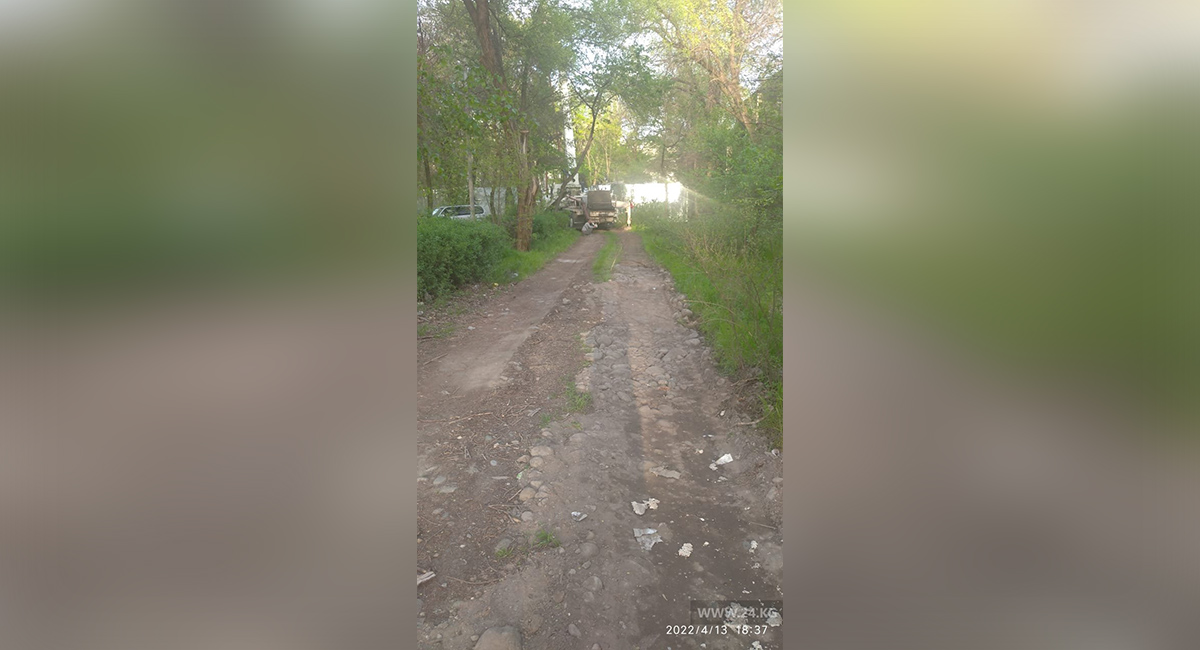 В Бишкеке для строительной техники проложили дорогу через зеленые насаждения