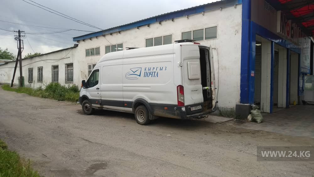 Посылка или бандероль? В машине с логотипом "Кыргыз почтасы" перевозили лошадь