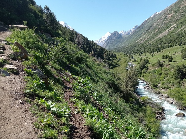 Аламединское ущелье фото