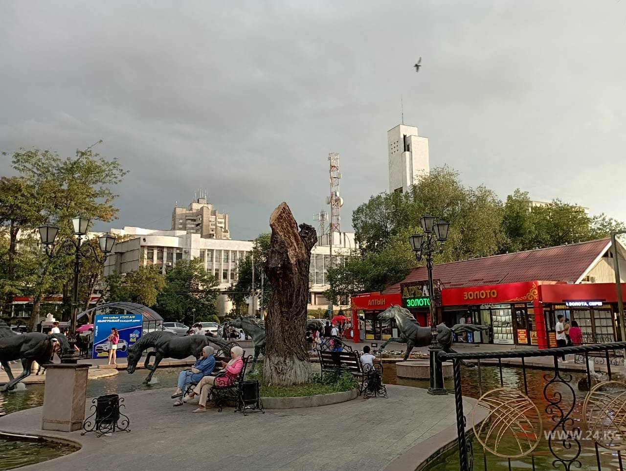 Цум 24. Ивы возле ЦУМА В Бишкеке. Фонтан на улице. Бишкек фонтаны Ива. Оазис возле ЦУМА.