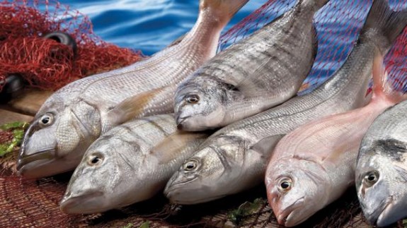 Минсельхоз Кыргызстана призывает бизнесменов активнее разводить рыбу