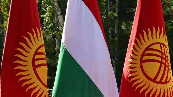 Венгрия предложила Кыргызстану создавать дроны для полива сельхозугодий