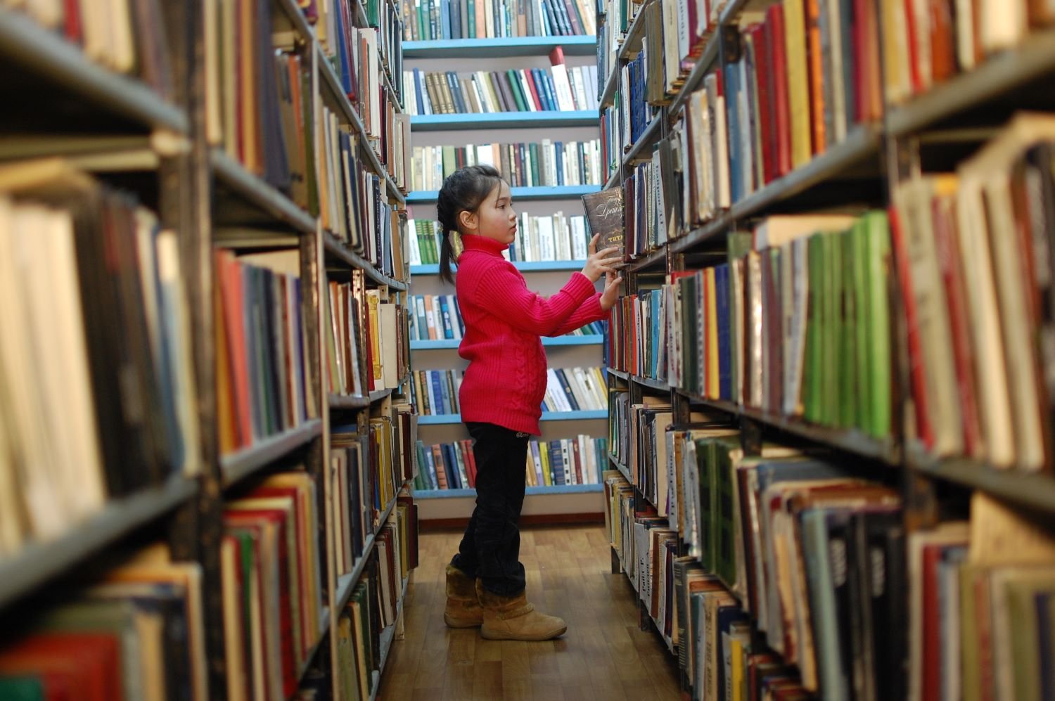 Россотрудничество передаст школам Кыргызстана 20 тысяч учебников и книг