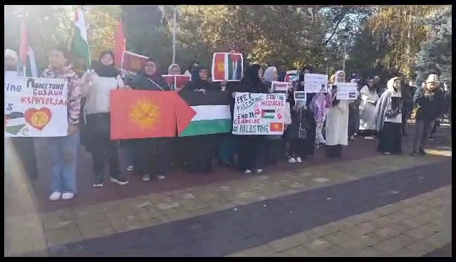 Митинги в поддержку палестины