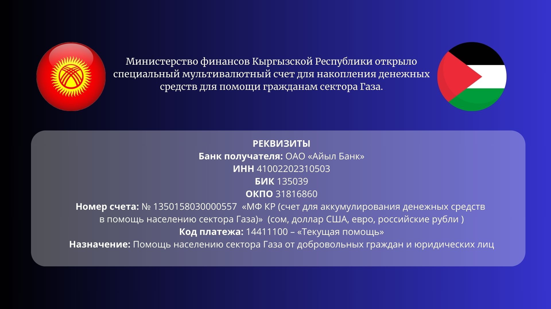 В Кыргызстане открыт счет для сбора средств в помощь мирным жителям сектора  Газа - | 24.KG