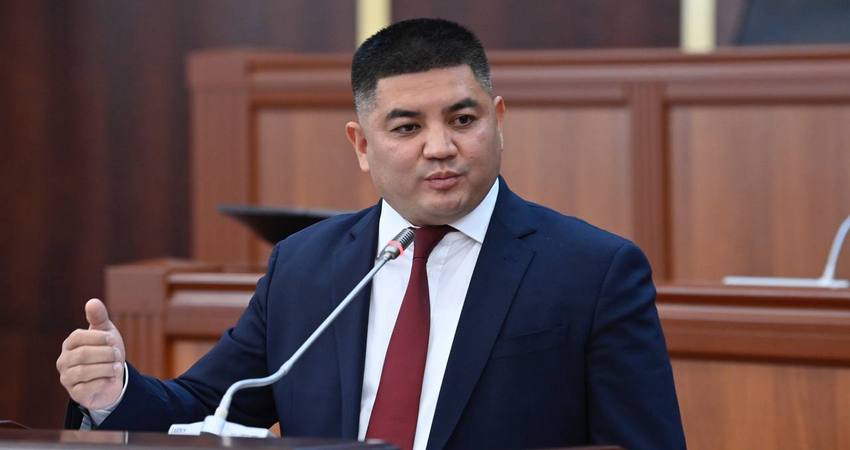 Демонократия карикатура. Представление сведений о расходах. Чиновник представление. Чиновник представление. Депутат карикатура.