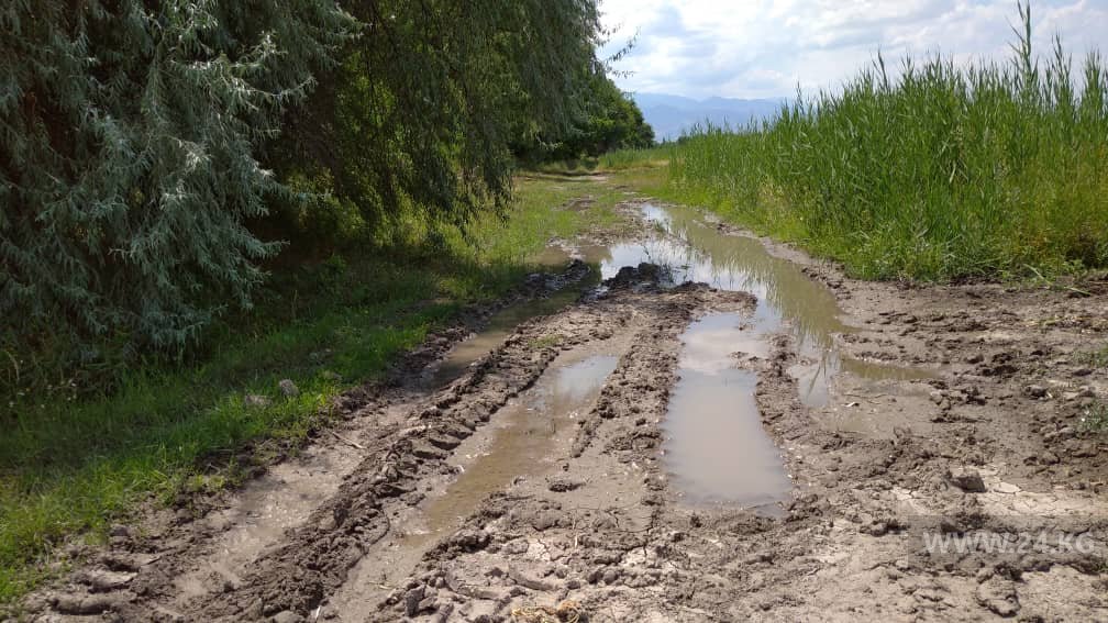 Фермеры в Панфиловском районе не могут собрать урожай из-за затопленной дороги