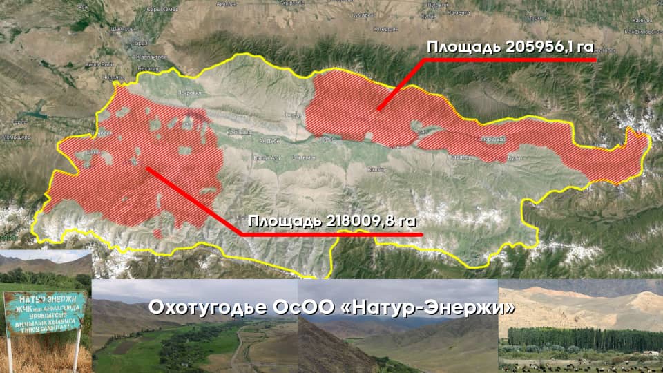 Государству вернули охотугодья, аффилированные с ОПГ Камчи Кольбаева