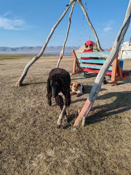 Әскердегі аналық секс