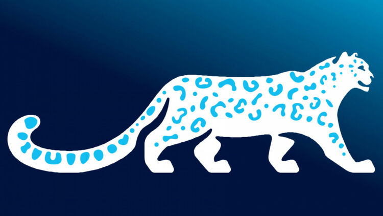 Snow leopard approved as symbol of Kyrgyzstan, rules for use introduced