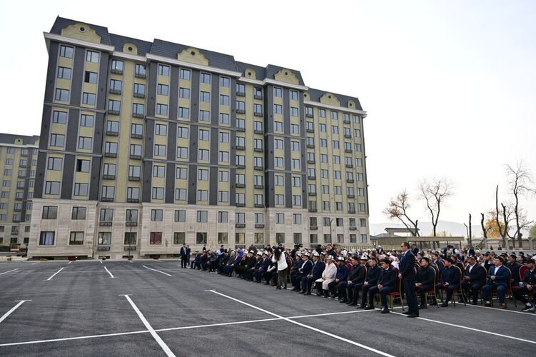 Жыныс мүшесі көпіршіктермен жабылған, ақ түсті бөліністер қышиды.