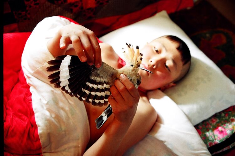 Aktan Arym Kubat’s film included in list of 100 best Asian movies