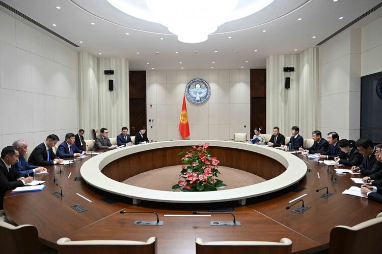 Kyrgyzstan and China intend to cooperate in production of medicinal plant seeds