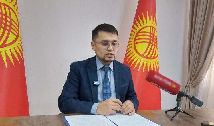 Kyrgyzstanis have to check their names on voter list by November 19