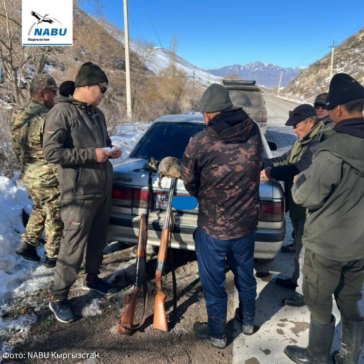 Poachers fined 35,000 soms in Kemin district