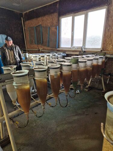 Kyrgyzstan launches artificial reproduction of fish stocks