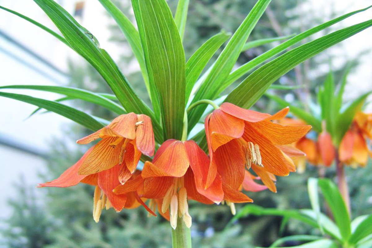 Запрет на&nbsp;посещение заказника &laquo;Айгуль-Таш&raquo; в&nbsp;Баткене продлили до&nbsp;2030 года