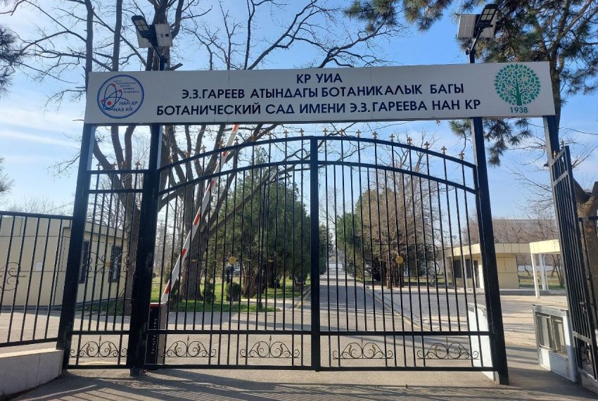 Уничтожение или возрождение? Что на&nbsp;самом деле происходит за&nbsp;забором Ботсада