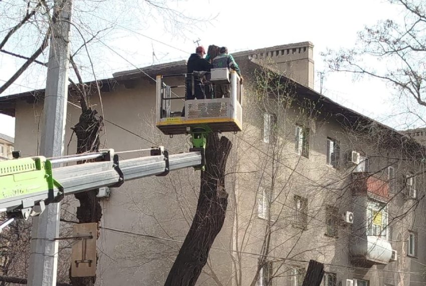 В&nbsp;Бишкеке в&nbsp;сквере на&nbsp;улице Московской вырубают деревья, жители против