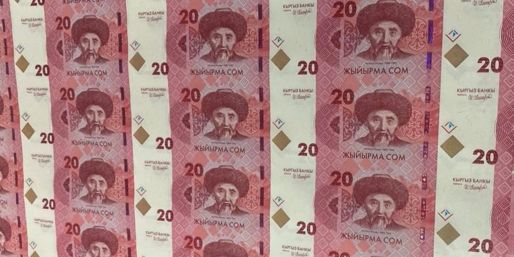 Эксперт оценил защитные элементы кыргызского сома как весьма высокие