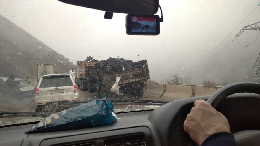 читателей 24.kg