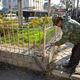 Фото пресс-службы мэрии Бишкека. Демонтаж объектов на месте будущего сквера