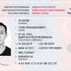 Фото ГРС. Образец новых водительских удостоверений