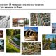 Фото мэрии Каракола. Мэрия запустила программу «Каракол Жаны Дем» 
