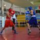 Фото ГАМФКиС. Эпизод чемпионата Кыргызстана по боксу