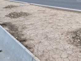 На&nbsp;проспекте Чингиза Айтматова газоны засыпают грунтом, похожим на&nbsp;глину
