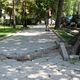 Фото 24.kg. Тротуар в Дубовом парке
