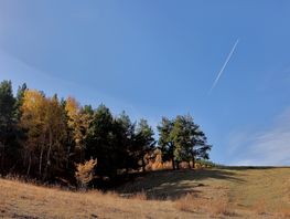 Мгновения жизни. Красота Кыргызстана глазами читателей 24.kg
