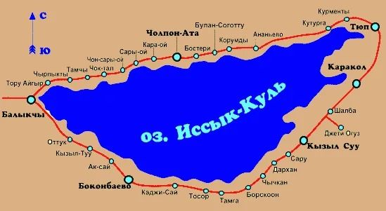 из интернета