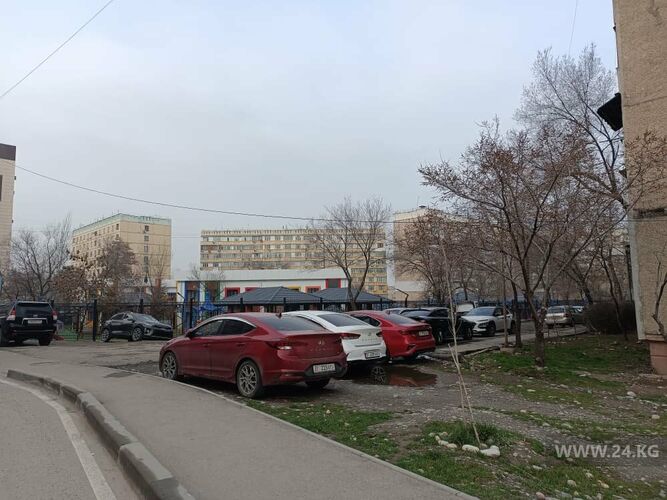 читателя 24.kg