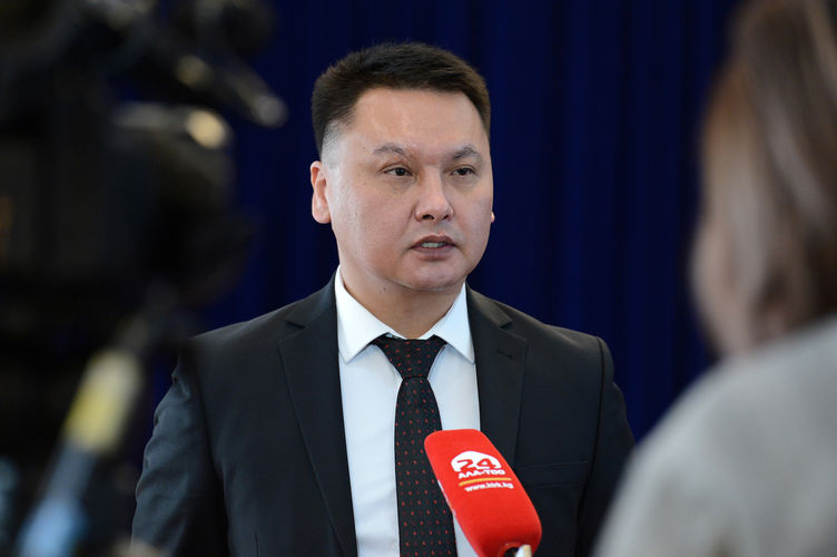 пресс-службы президента. Дамир Сагынбаев, 8 февраля 2018 года