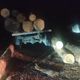 Фото Госагентства лесного хозяйства при Минсельхозе. В урочище Кырчын вырубили 14,6 кубометра тянь-шаньской ели