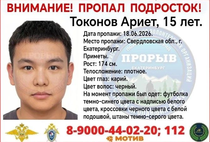из интернета