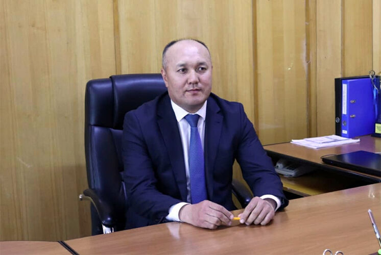 из интернета