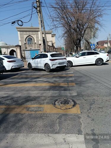 читателя 24.kg