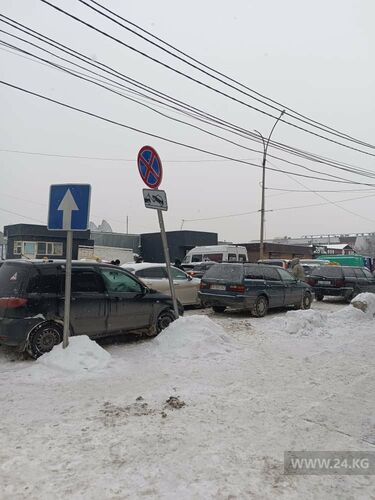 читателей 24.kg