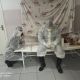Фото Дилшада Мамаджанова. Медики Ноокатской районной больницы